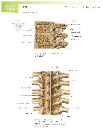 Sobotta  Atlas of Human Anatomy  Trunk, Viscera,Lower Limb Volume2 2006, page 29